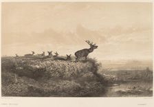 Le Matin. Creator: Karl Bodmer