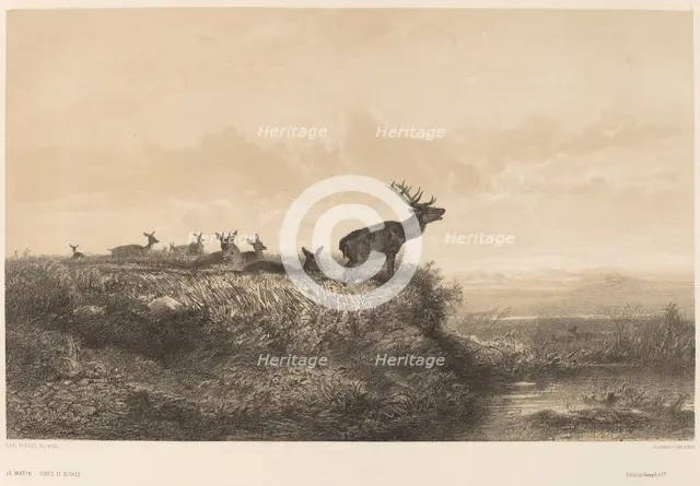 Le Matin. Creator: Karl Bodmer.