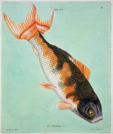 Le Noriroux 18th century. Artist: Francois Nicholas Martinet