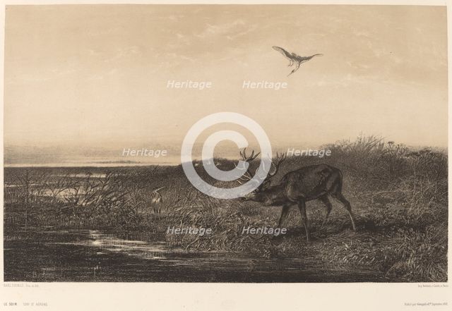 Le Soir. Cerf et Herons. Creator: Karl Bodmer.