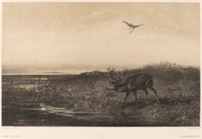 Le Soir. Cerf et Herons. Creator: Karl Bodmer