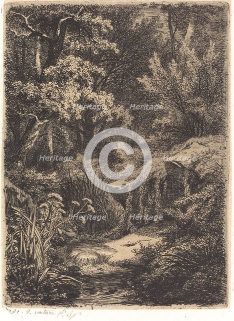 Le petit ruisseau (The Little Brook), published 1849. Creator: Eugene Blery.