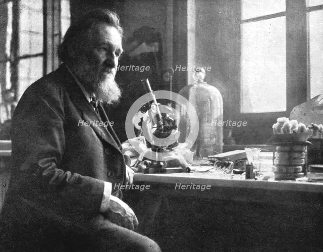 ''Le professeur Elie Metchikoff; sous-directeur de l'institut Pasteur', c1916. Creator: Dornac.