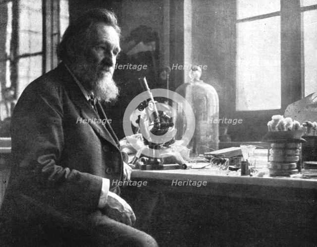 ''Le professeur Elie Metchikoff; sous-directeur de l'institut Pasteur', c1916. Creator: Dornac.