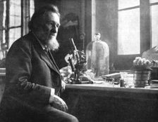 'Le professeur Elie Metchikoff; sous-directeur de l'institut Pasteur c1916. Creator: Dornac