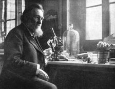 'Le professeur Elie Metchikoff; sous-directeur de l'institut Pasteur c1916. Creator: Dornac