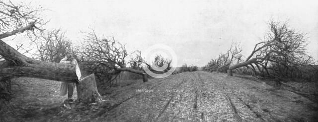 'Le Royaume de la Mort; Un spectacle qui mit la rage au coeur de nos soldats paysans: une rangee de  Creator: Unknown.