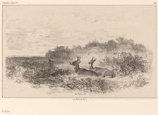 Le Repos. Creator: Karl Bodmer