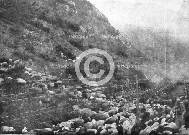 'Le repli des troupes Francaises vers Salonique; --Passage du defile de Demir-Kapou..., 1916. Creator: Unknown.