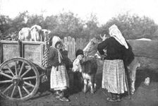 Le repli et l'exode; Emportant,autant qu'elles le peuvent, leurs biens, poussant...1915 (1924). Creator: R. Marianovitch