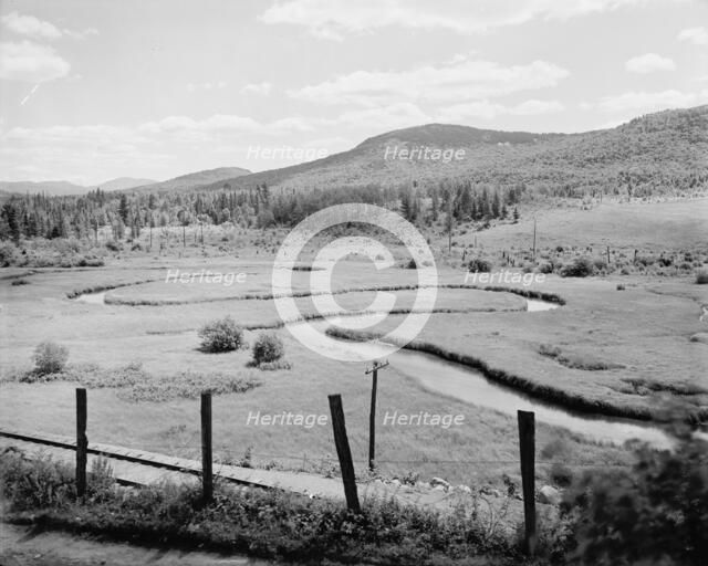 Letter "S" at state hospital, Ray Brook, Adirondack Mts., N.Y., c1907. Creator: Unknown.