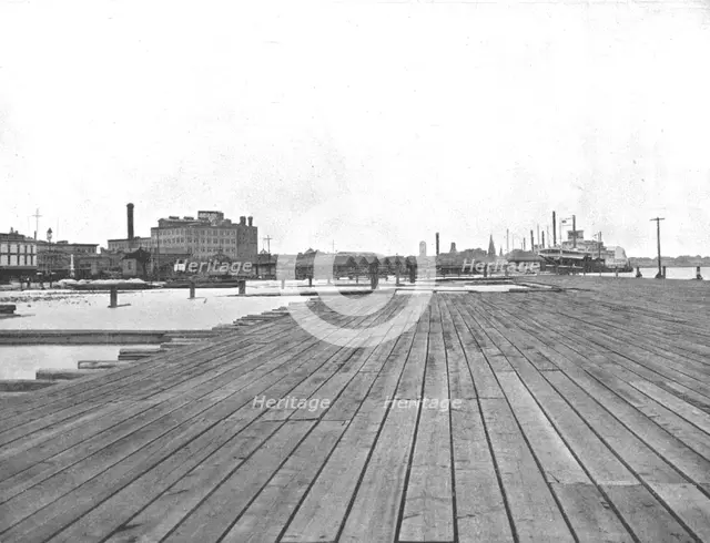 Levee and Steamboat Landing, New Orleans, Louisiana, USA, c1900. Creator: Unknown.