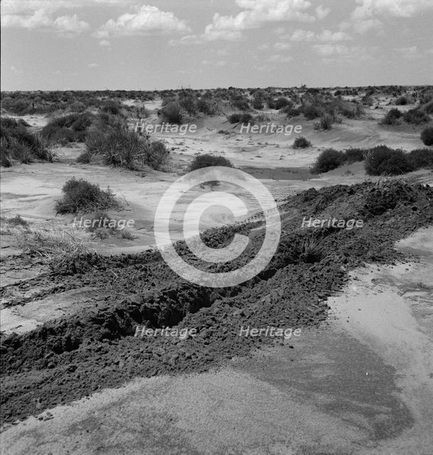 Leveling hummocks in the dust bowl, Coldwater District, 30 miles north of Dalhart, Texas, 1938. Creator: Dorothea Lange.