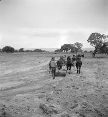 Leveling the land for irrigation on the Bosque Farms project, New Mexico, 1935. Creator: Dorothea Lange