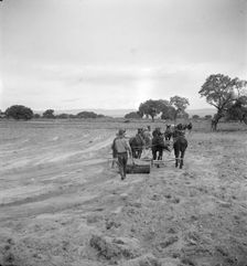 Leveling the land for irrigation on the Bosque Farms project, New Mexico, 1935. Creator: Dorothea Lange