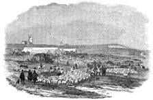 Lewes Great Sheep Fair, 1850. Creator: Unknown