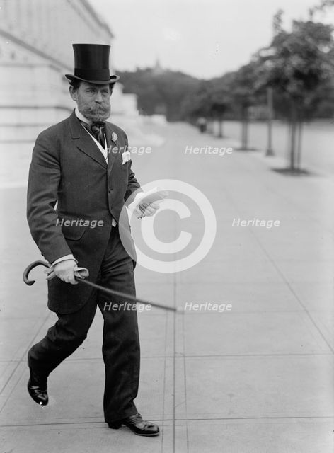 Lewis, James Hamilton, Rep. from Washington, 1897-1899; Senator from Illinois..., 1917. Creator: Harris & Ewing.
