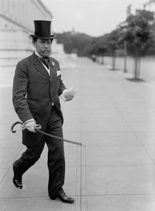 Lewis, James Hamilton, Rep. from Washington, 1897-1899; Senator from Illinois..., 1917. Creator: Harris & Ewing