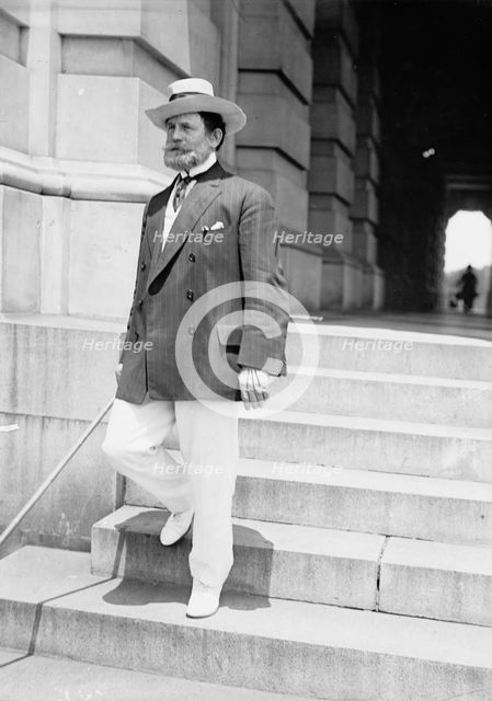 Lewis, James Hamilton, Rep. from Washington, 1897-1899; Senator from Illinois..., 1917. Creator: Harris & Ewing.