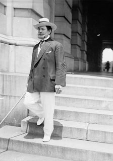 Lewis, James Hamilton, Rep. from Washington, 1897-1899; Senator from Illinois..., 1917. Creator: Harris & Ewing