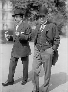 Lewis, James Hamilton, Rep. from Washington, 1897-1899; Senator from Illinois..., 1917. Creator: Harris & Ewing