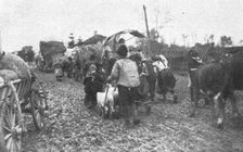 'L'exode des paysans serbes. Creator: Unknown