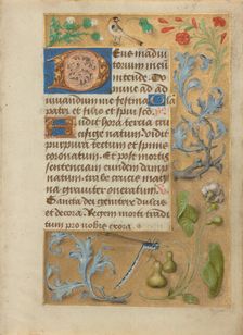 Leaf from a Book of Hours, about 1480-1490. Creator: Unknown