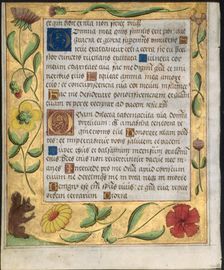 Leaf from a Psalter and Prayerbook: Ornamental Border with Flowers and Squirrel (verso), c. 1524. Creator: Unknown