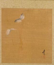 Leaf from Album of Seasonal Themes: Maple Leaves and Feather, 1847. Creator: Shibata Zeshin (Japanese, 1807-1891)