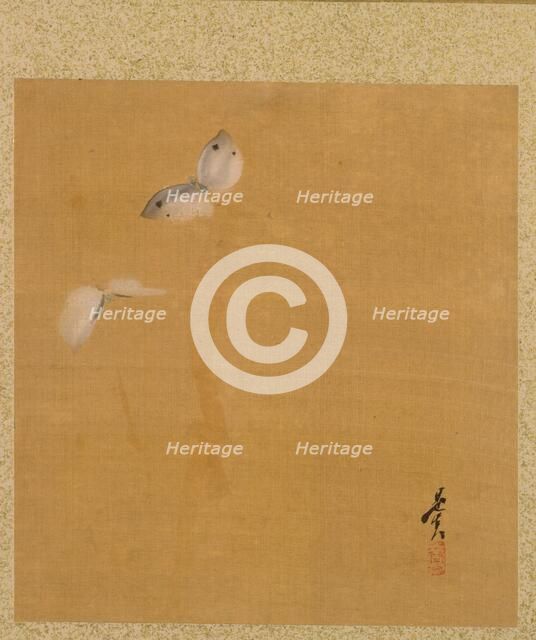 Leaf from Album of Seasonal Themes: Maple Leaves and Feather, 1847. Creator: Shibata Zeshin (Japanese, 1807-1891).