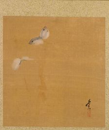 Leaf from Album of Seasonal Themes: Maple Leaves and Feather, 1847. Creator: Shibata Zeshin (Japanese, 1807-1891)
