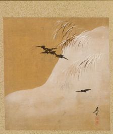 Leaf from Album of Seasonal Themes: New Ferns, 1847. Creator: Shibata Zeshin (Japanese, 1807-1891)