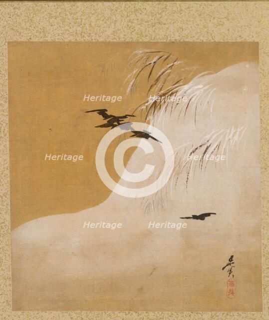 Leaf from Album of Seasonal Themes: New Ferns, 1847. Creator: Shibata Zeshin (Japanese, 1807-1891).