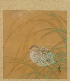 Leaf from Album of Seasonal Themes: Shoreline with Birds, 1847. Creator: Shibata Zeshin (Japanese, 1807-1891)