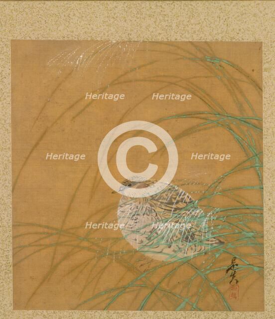 Leaf from Album of Seasonal Themes: Shoreline with Birds, 1847. Creator: Shibata Zeshin (Japanese, 1807-1891).