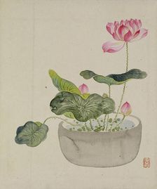 Leaf from Album Depicting Birds, Flowers, Landscapes, and Flower Pots, 1876. Creator: Yoshizawa Setsuan