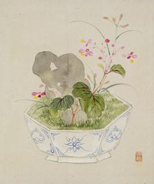 Leaf from Album Depicting Birds, Flowers, Landscapes, and Flower Pots, 1876. Creator: Yoshizawa Setsuan