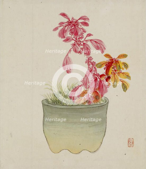 Leaf from Album Depicting Birds, Flowers, Landscapes, and Flower Pots, 1876. Creator: Yoshizawa Setsuan.