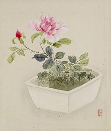 Leaf from Album Depicting Birds, Flowers, Landscapes, and Flower Pots, 1876. Creator: Yoshizawa Setsuan