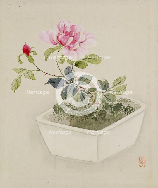 Leaf from Album Depicting Birds, Flowers, Landscapes, and Flower Pots, 1876. Creator: Yoshizawa Setsuan.