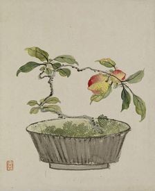 Leaf from Album Depicting Birds, Flowers, Landscapes, and Flower Pots, 1876. Creator: Yoshizawa Setsuan