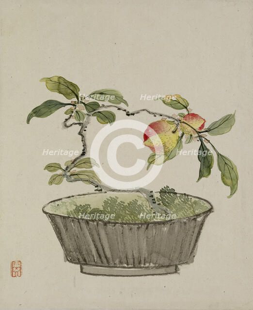 Leaf from Album Depicting Birds, Flowers, Landscapes, and Flower Pots, 1876. Creator: Yoshizawa Setsuan.