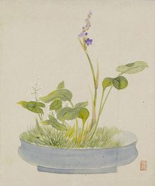 Leaf from Album Depicting Birds, Flowers, Landscapes, and Flower Pots, 1876. Creator: Yoshizawa Setsuan