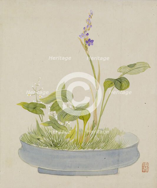 Leaf from Album Depicting Birds, Flowers, Landscapes, and Flower Pots, 1876. Creator: Yoshizawa Setsuan.