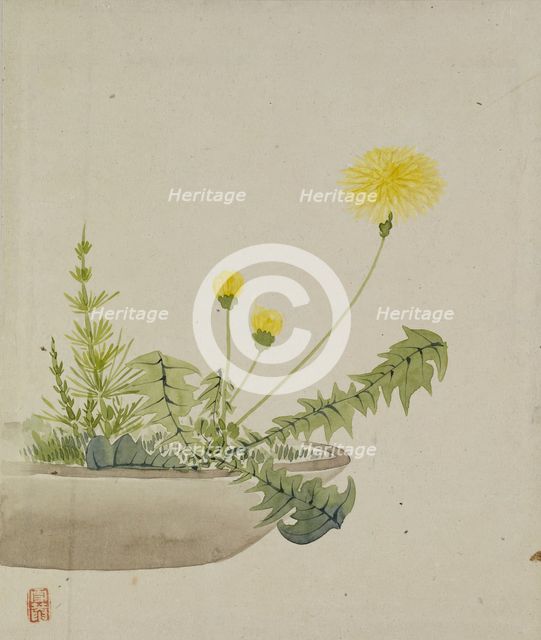 Leaf from Album Depicting Birds, Flowers, Landscapes, and Flower Pots, 1876. Creator: Yoshizawa Setsuan.