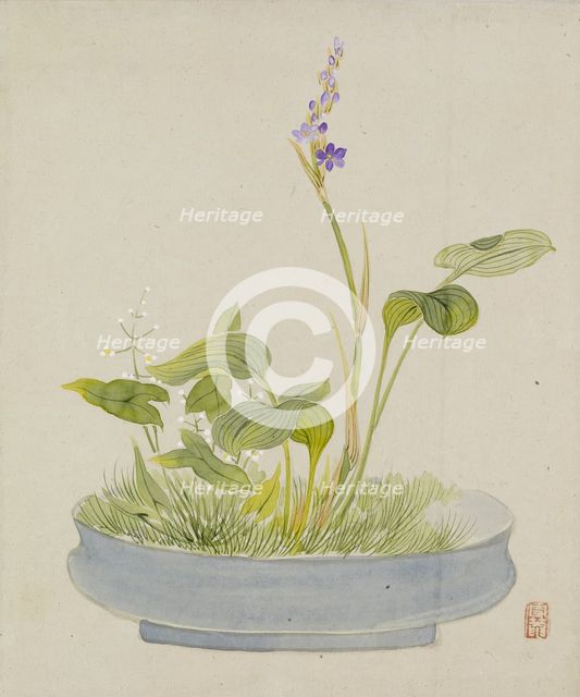 Leaf from Album Depicting Birds, Flowers, Landscapes, and Flower Pots, 1876. Creator: Yoshizawa Setsuan.