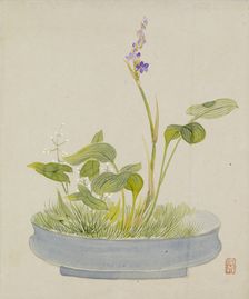 Leaf from Album Depicting Birds, Flowers, Landscapes, and Flower Pots, 1876. Creator: Yoshizawa Setsuan
