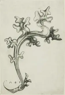 Leaf Ornament, n.d. Creator: Martin Schongauer
