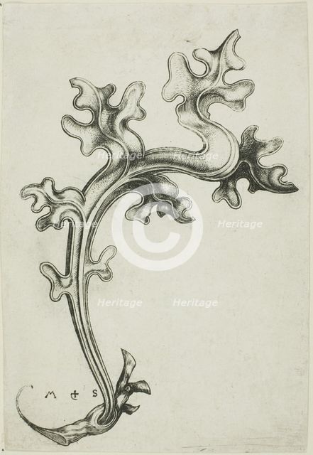 Leaf Ornament, n.d. Creator: Martin Schongauer.