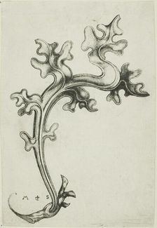 Leaf Ornament, n.d. Creator: Martin Schongauer